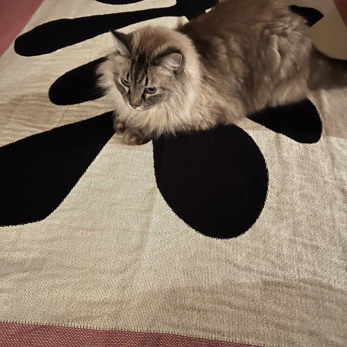 Henri Matisse Art Throw Tapestry Blanket