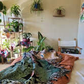 Tropical throw blanket with multi-color fringed edges on a bed, surrounded by leafy plants in a cozy room setting.